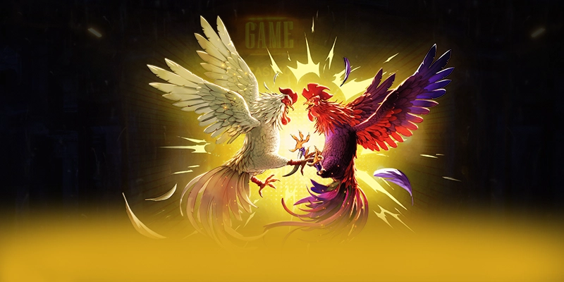 Câu hỏi thường gặp về 8XBET